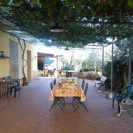 Вилла Agriturismo Il Cavallone Монтелупо-Фьорентино Экстерьер фото